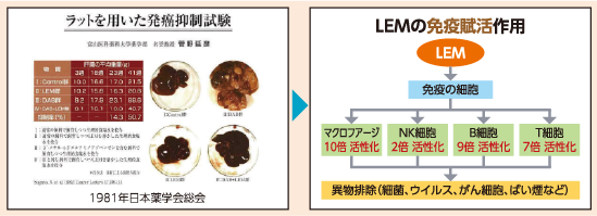LEM シイタケ菌糸体培養培地抽出物（製法特許 No. 1957839）